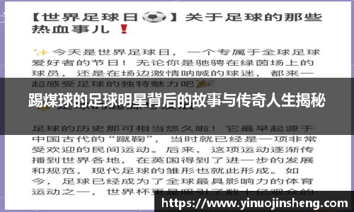 踢煤球的足球明星背后的故事与传奇人生揭秘